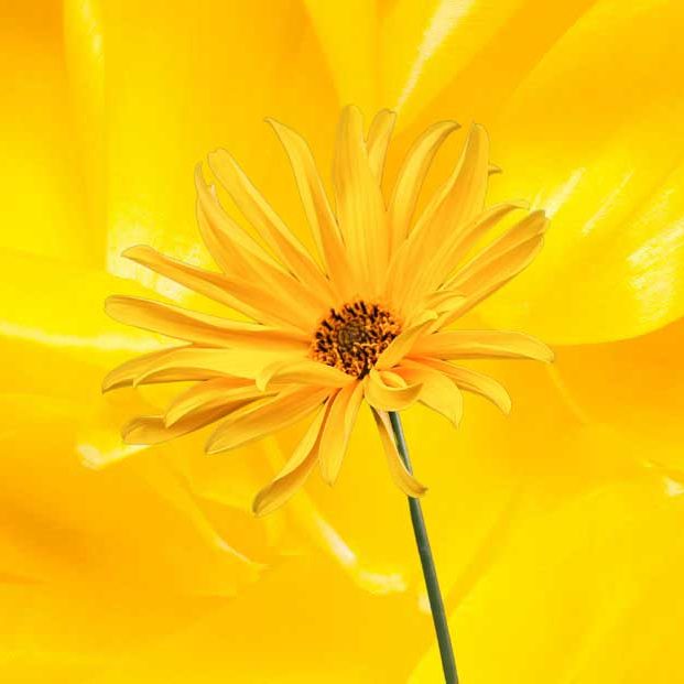 Kommunikationslösning